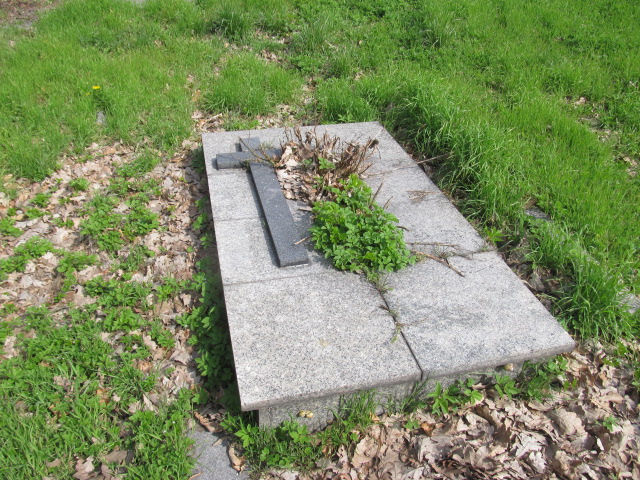  NN Chorzów - Grobonet - Wyszukiwarka osób pochowanych