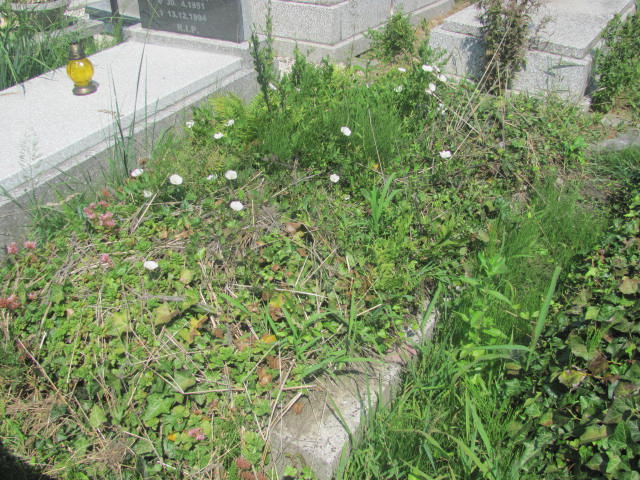  NN Chorzów - Grobonet - Wyszukiwarka osób pochowanych