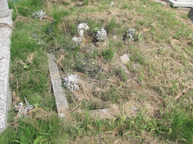  NN Chorzów - Grobonet - Wyszukiwarka osób pochowanych