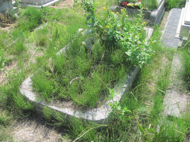  NN Chorzów - Grobonet - Wyszukiwarka osób pochowanych