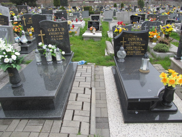  Miejsce wolne Chorzów - Grobonet - Wyszukiwarka osób pochowanych