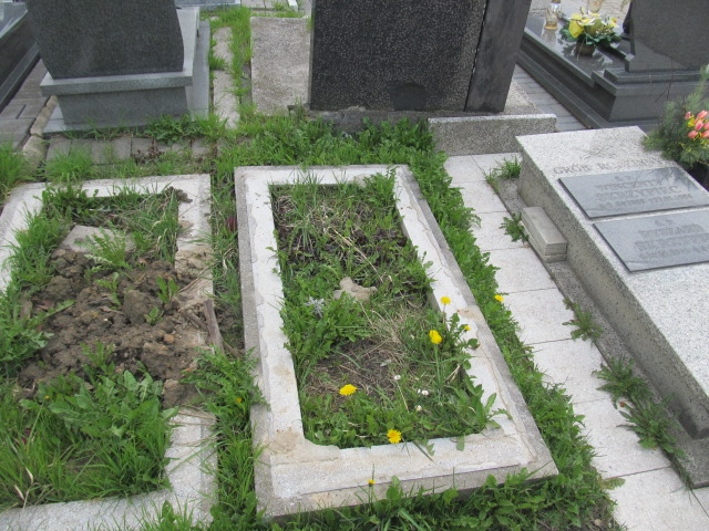 Piotr Kapica 1902 Chorzów - Grobonet - Wyszukiwarka osób pochowanych