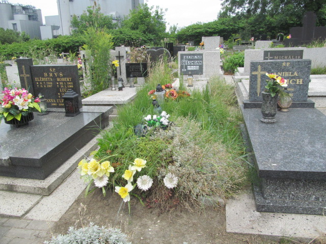  NN Chorzów - Grobonet - Wyszukiwarka osób pochowanych