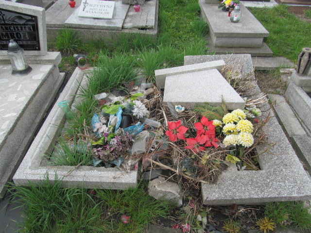  NN Chorzów - Grobonet - Wyszukiwarka osób pochowanych