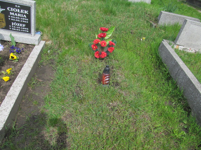  NN Chorzów - Grobonet - Wyszukiwarka osób pochowanych