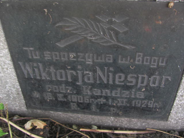 Wiktorja Niespór 1906 Chorzów - Grobonet - Wyszukiwarka osób pochowanych